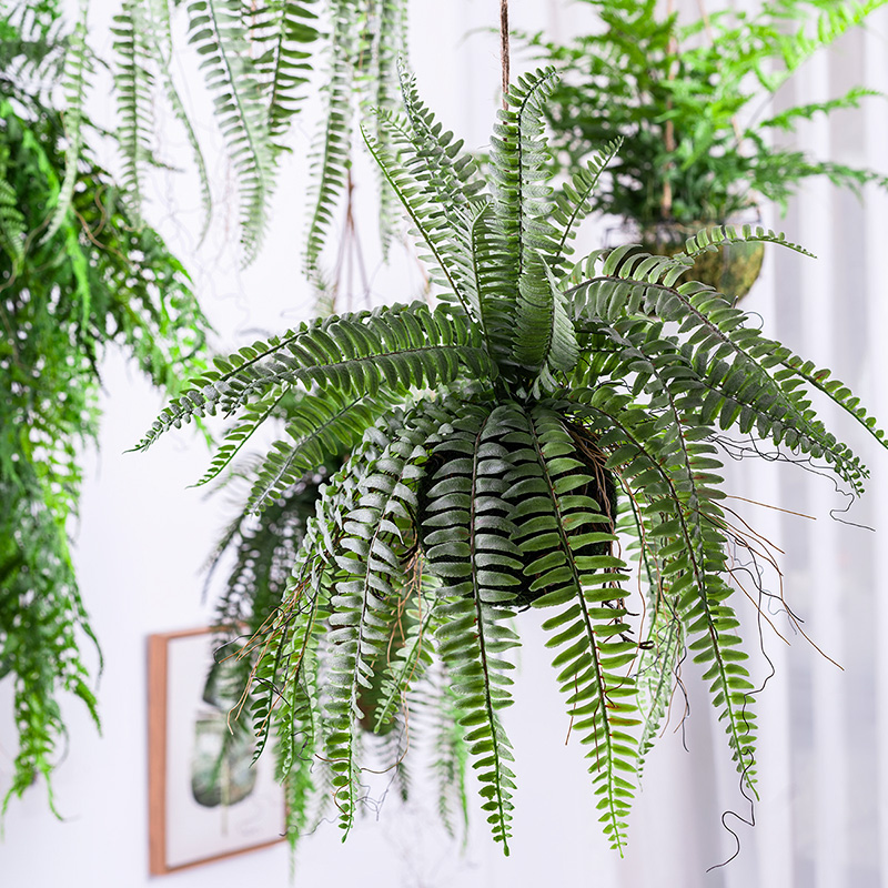 森系垂吊波斯蕨仿真l植物草球吊挂盆绿植家居商铺橱窗造景悬吊式