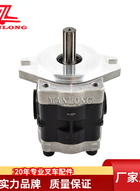 叉车配件液压泵10T  DSG05A25F9H1-R206C电动叉车配件液压泵
