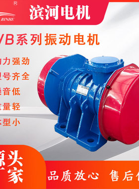 VB-10102-W系列振动电机1KW2级震动电机XVB-10-2型号