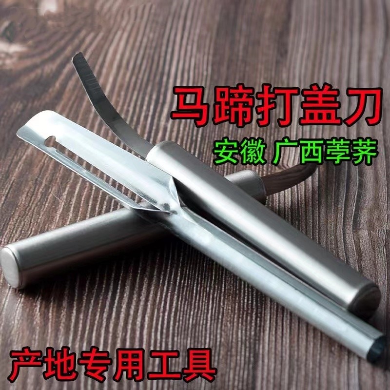 不锈钢荸荠马蹄去皮打盖刀