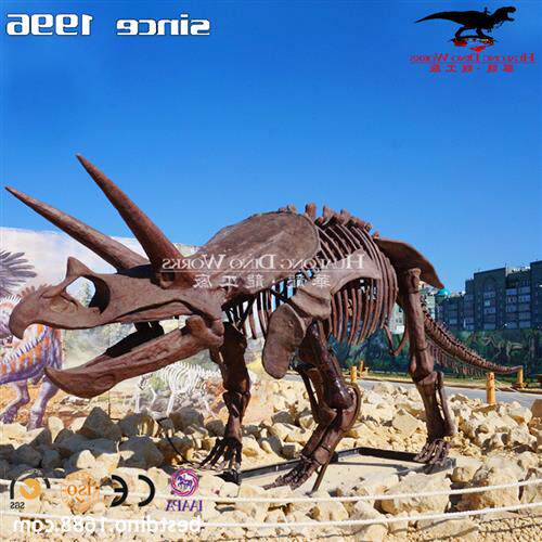 玻璃钢仿真恐龙化石骨架博物馆科普讲座主题景区引流打卡骨架模型