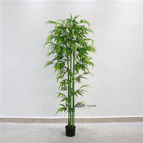 仿真竹子室内屏风盆景细水毛竹绿植客厅装饰竹叶植物造景假竹子