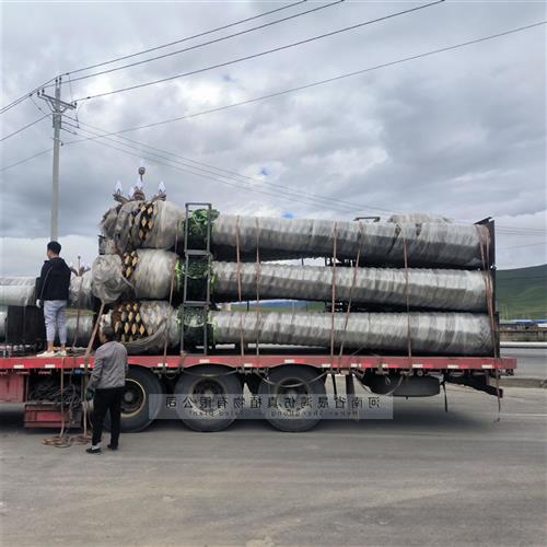 仿真椰子树大型假树盆栽摆件大王椰景观装饰棕榈树户外海藻树