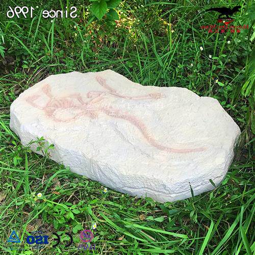 玻璃钢工艺仿真恐龙化石摆件装饰博物馆科普原石