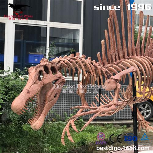 玻璃钢仿真棘龙化石骨架模型自贡源头厂家来图制作景区博物馆