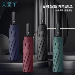 天堂伞全自动双人雨伞十骨全钢加固折叠便携纯色一键开收自动伞