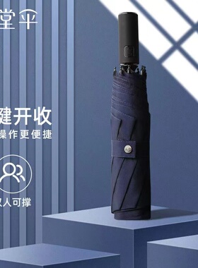 天堂伞全自动雨伞商务晴雨伞一键式开收双人大号抗风加固自动伞