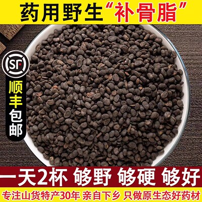 【野生】深山补骨脂1斤装2份八折