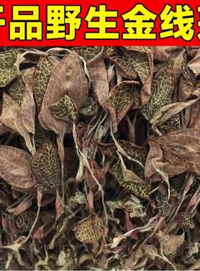 云南正宗整株金线莲深山林下原生态材新鲜干货红霞金线莲干品养肝