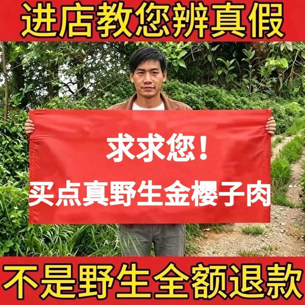 野生金樱子肉中药材500g正品无硫去籽新鲜干果金樱子刺梨泡酒泡茶