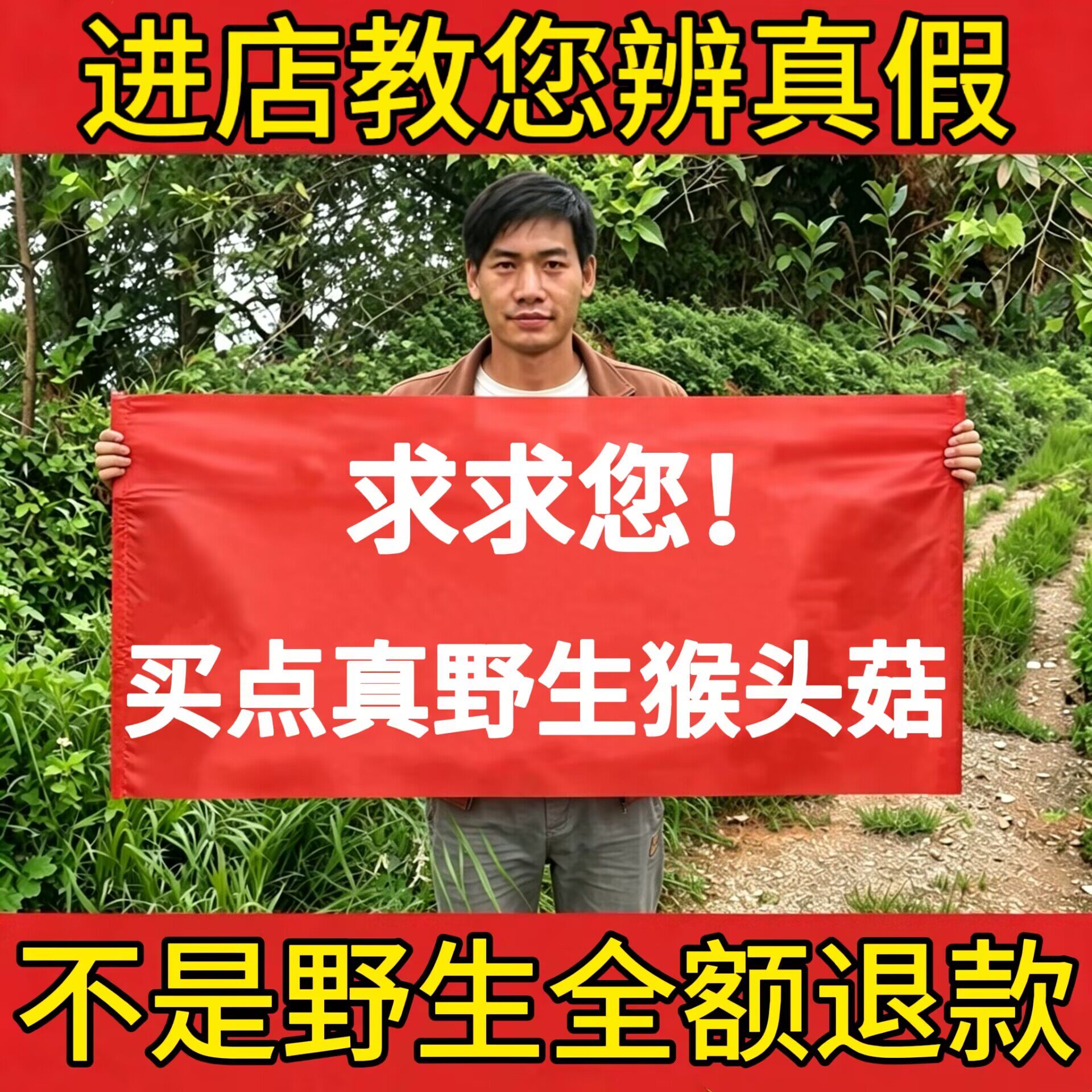 长白山纯野生猴头菇500g新货无硫