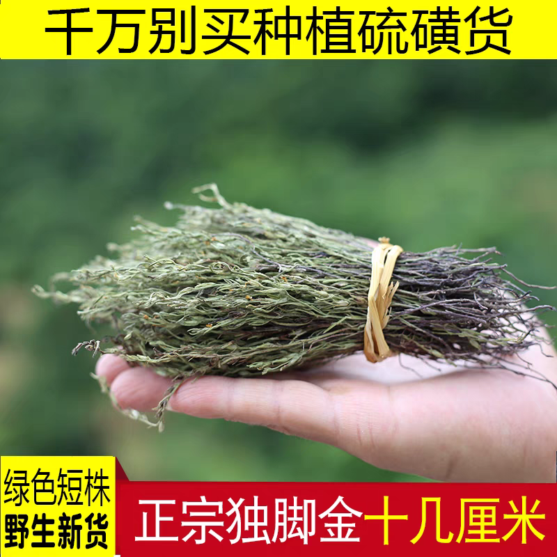 野生独脚金疳积草独脚金消积汤儿童双金汤野生独角金独脚金中药材