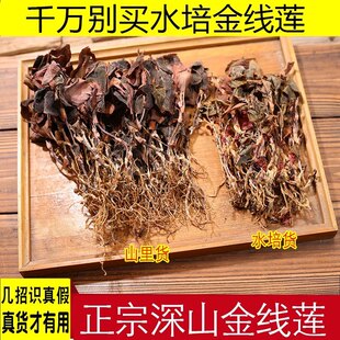 福建正宗老金线莲干货深山林下野货养护益肝熬夜去火煮水泡养生茶