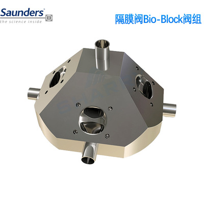 SAUNDERS? 桑德斯隔膜阀多通道阀和罐底阀