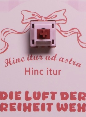 Rena Lab X KTT坏甜心静音轴  坏甜静轴（静音轴~）