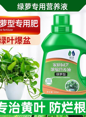 速发绿萝营养液绿箩营业液专用肥料防黄土枯叶水培培叶养花通用肥