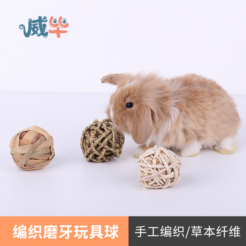 速发兔子解闷玩啃逗给侏儒兔兔具咬耐的训练磨牙用品玩咬