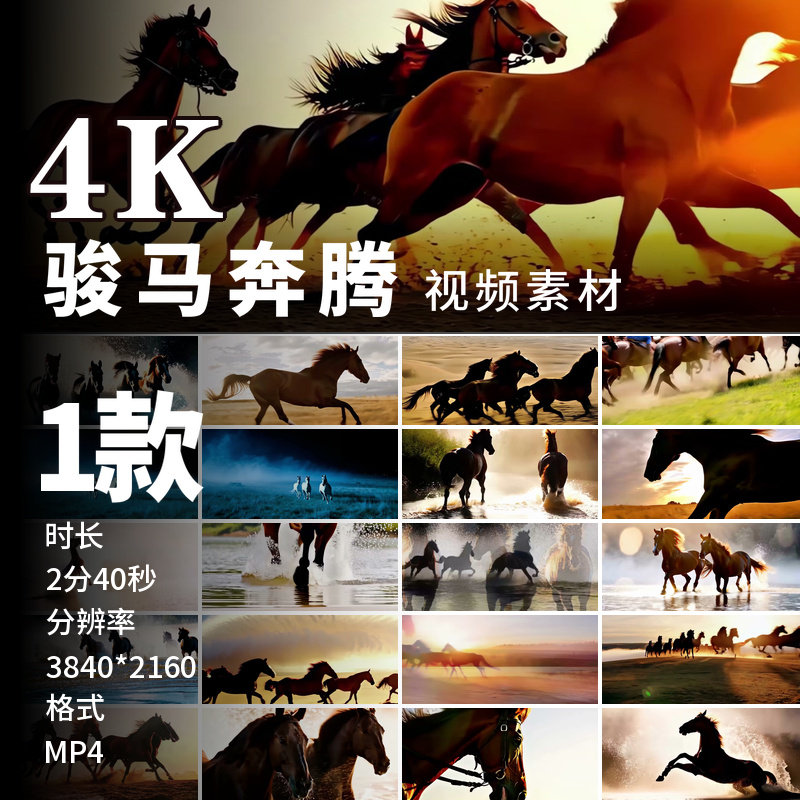 高清万马奔腾草原骏马策马奔腾马到成功团队拼搏宣传片视频素材