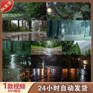 高清雨夜森林漫步湿润雾气路灯林荫道雨滴树叶自然雨景视频素材