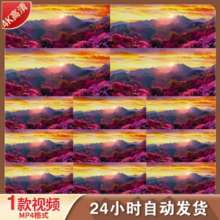 高清映山红杜鹃花唱支山歌给党听花瓣飞舞革命红歌舞蹈LE视频素材