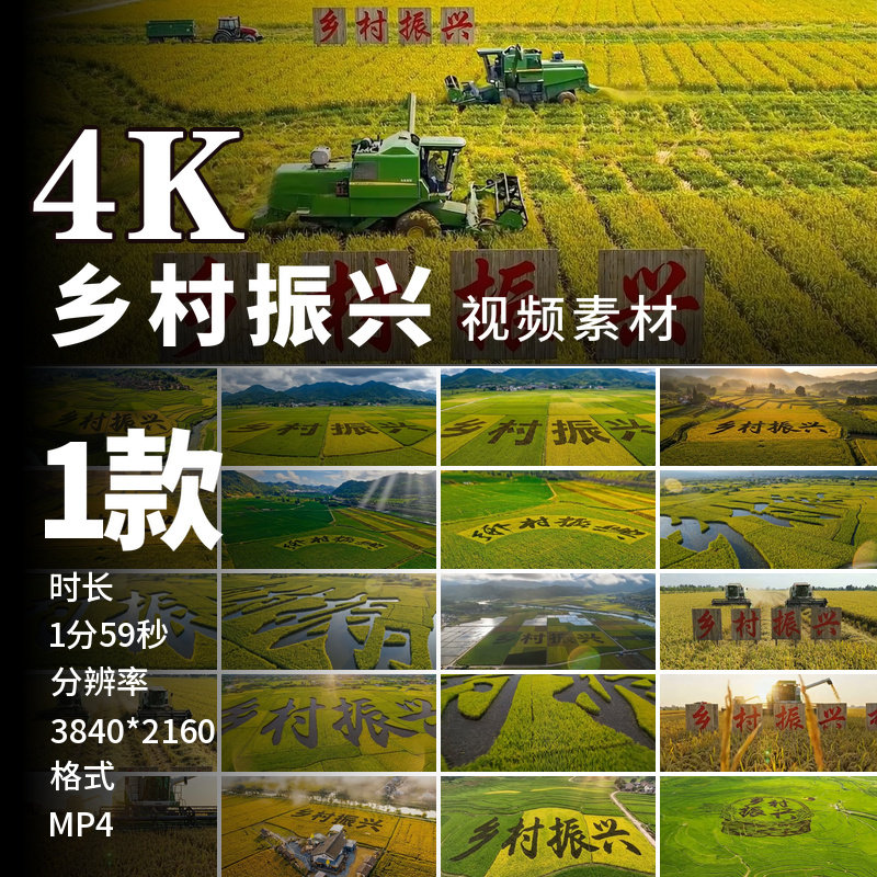 高清乡村振兴稻田画创意农业美丽乡村航拍田园综合体视频素材