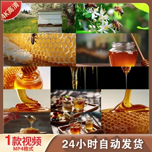 高清蜂蜜特写蜂巢慢动作倒蜂蜜粘稠金色液体野生蜂蜜酿蜜视频素材