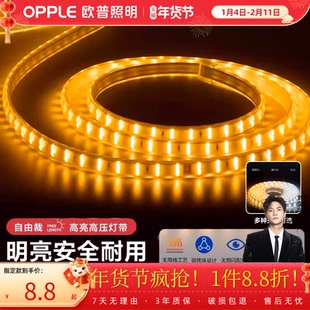 欧普灯带led霓虹灯条线灯客厅吊顶装饰贴片亮光带无主灯恒星220v