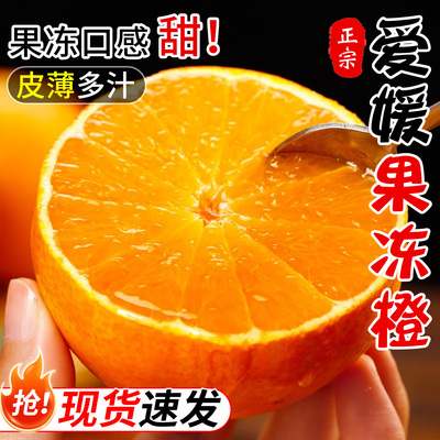 正宗爱媛果冻橙5斤当季水果