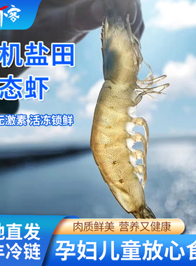 俏虾客渤海水产盐田有机大虾生虾无抗生素无添加孕妇儿童营养虾食