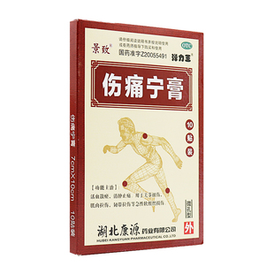 康源 伤痛宁膏10片