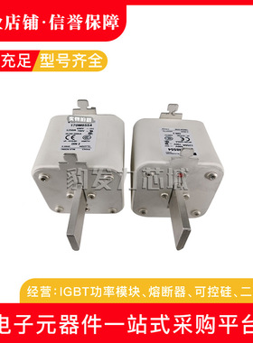 170M8500/8501/8502/8503/8504/8505/8506全新熔断器现货