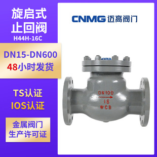 升降式 止回阀 逆止阀 单向阀 16C 管道止回阀 H44H 旋启式