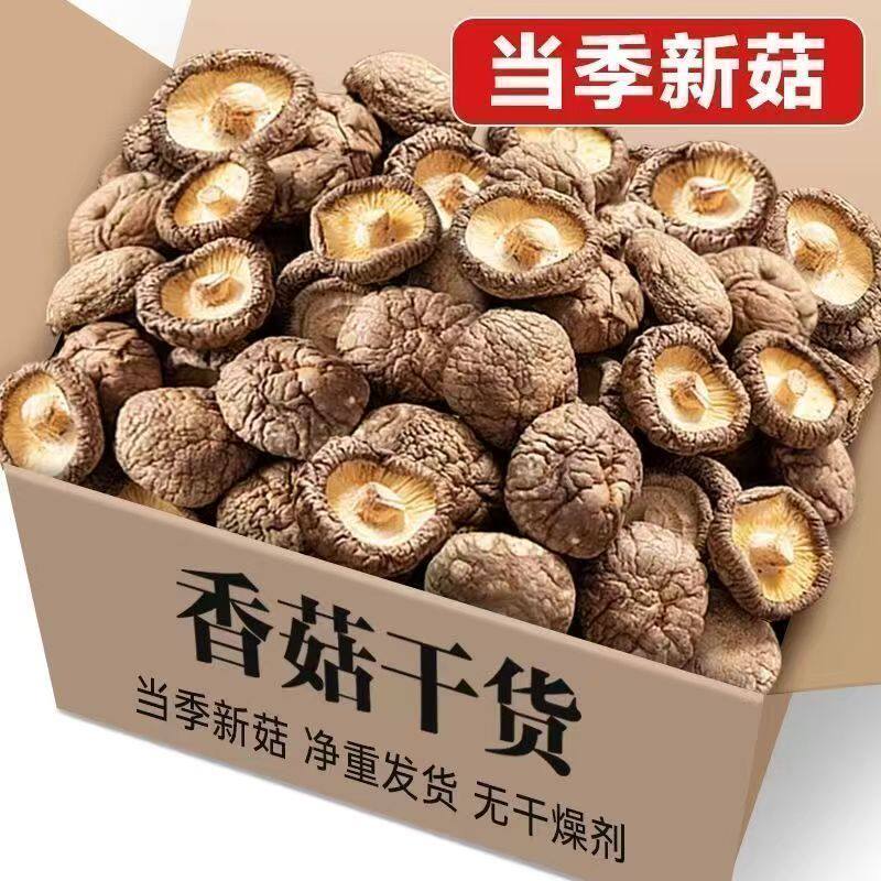 当季精选深山好菇厚肉无根古田批发特产新货香菇煲汤茶树菇非海参