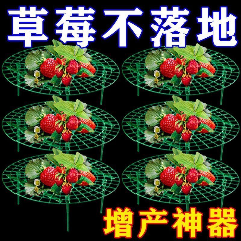 家庭防腐烂草莓种植支架托架