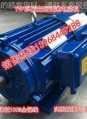 电机厂家 供应YVP315L2P- 160W YVP异变频调速三相步电动2机JYVP3