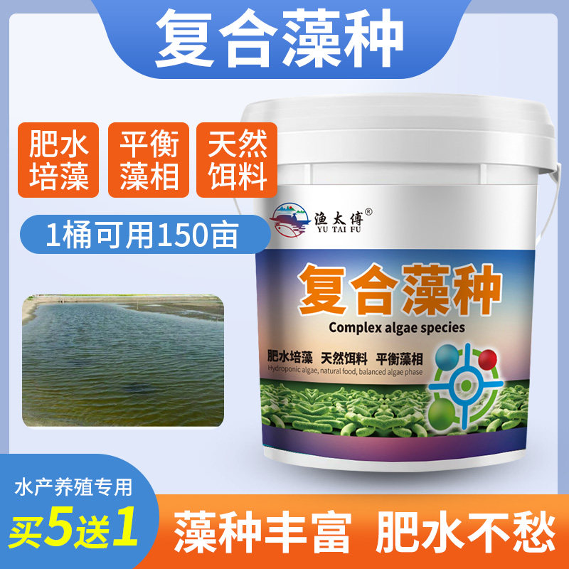速发复合藻种水产养殖小球藻藻种浓缩硅藻种鱼虾蟹塘增氧肥水培藻