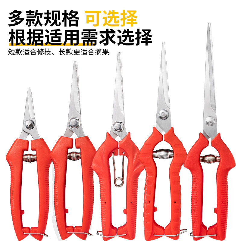 速发不锈钢采果剪柑橘剪桔子剪刀摘果剪蔬树剪葡萄果果剪水果采摘