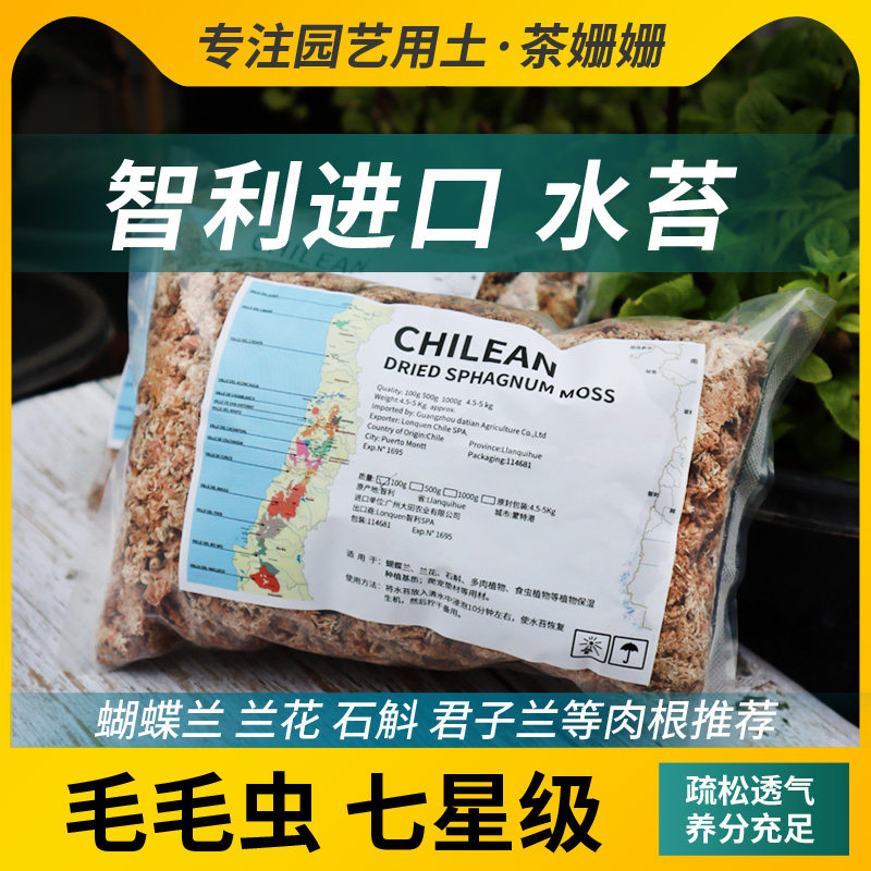 速发苔利水智蝴蝶兰干水苔养兰花文心兰新西兰毛毛虫水苔七星