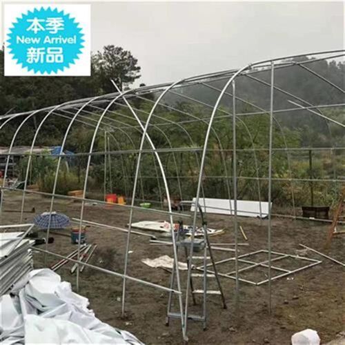 速发猪舍保温蔬菜大棚l连体保暖栅栏镀锌养管K养鹅钢支架工厂隔离