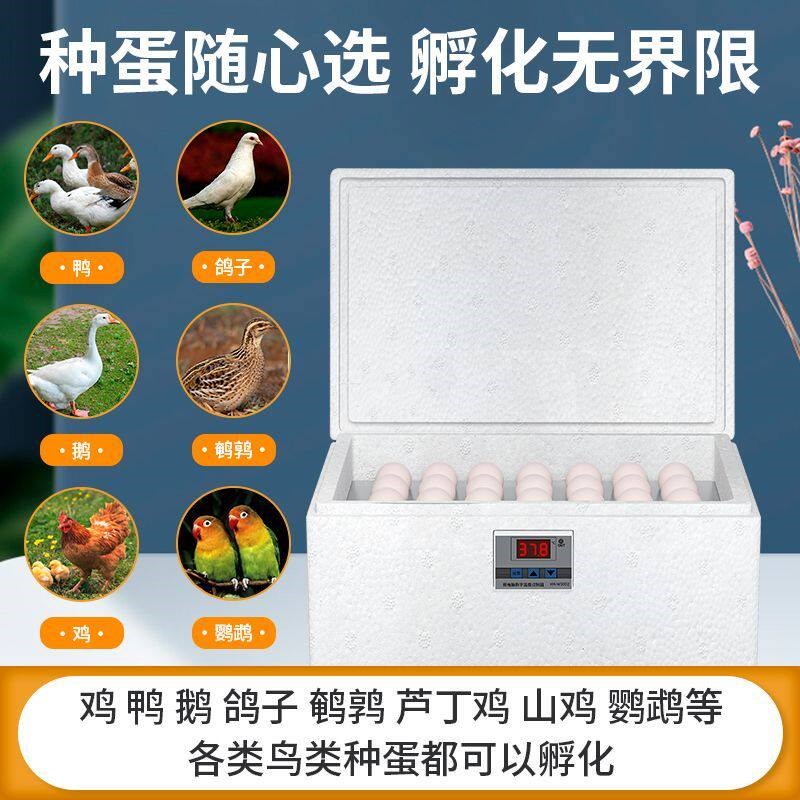 速发芦丁鸡孵化箱小型孵化器鹌鹑鸟蛋孵化器自动控温鸡鸭鹅蛋孵化