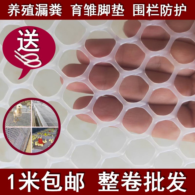 速发塑料网养殖鸡育雏小网防养鹅鸡笼脚垫漏粪床围栏防逃鸭坠网养