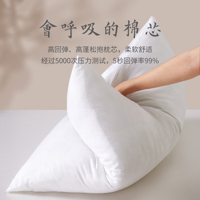 速发羽丝绒靠垫芯抱枕长方形内胆沙发抱枕大靠背枕芯 45 50 60方图片