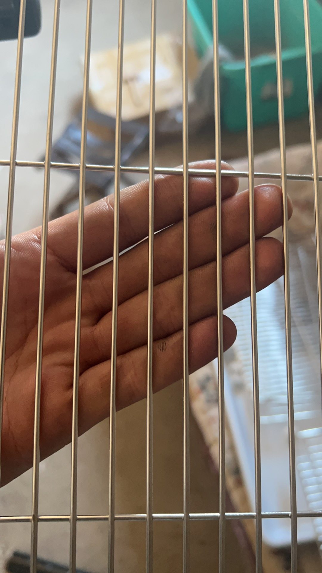 304不锈钢网格不锈钢鸟笼网片长条孔不锈钢焊接网加粗DIY鸟笼鸽笼,金属材料及制品,丝网/金属网,淘宝优惠券,粉丝福利购,淘宝优惠卷