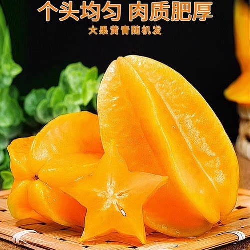 福建漳州新鲜杨桃水果整箱当季现摘洋桃青扬桃五角星杨桃产地直发