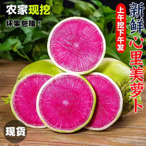 山东红心萝卜新鲜水果萝卜心里美萝卜满堂红泡菜雕刻心灵美萝卜