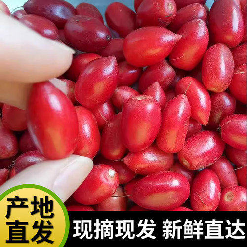 神奇果子新鲜发货解救变甜果子