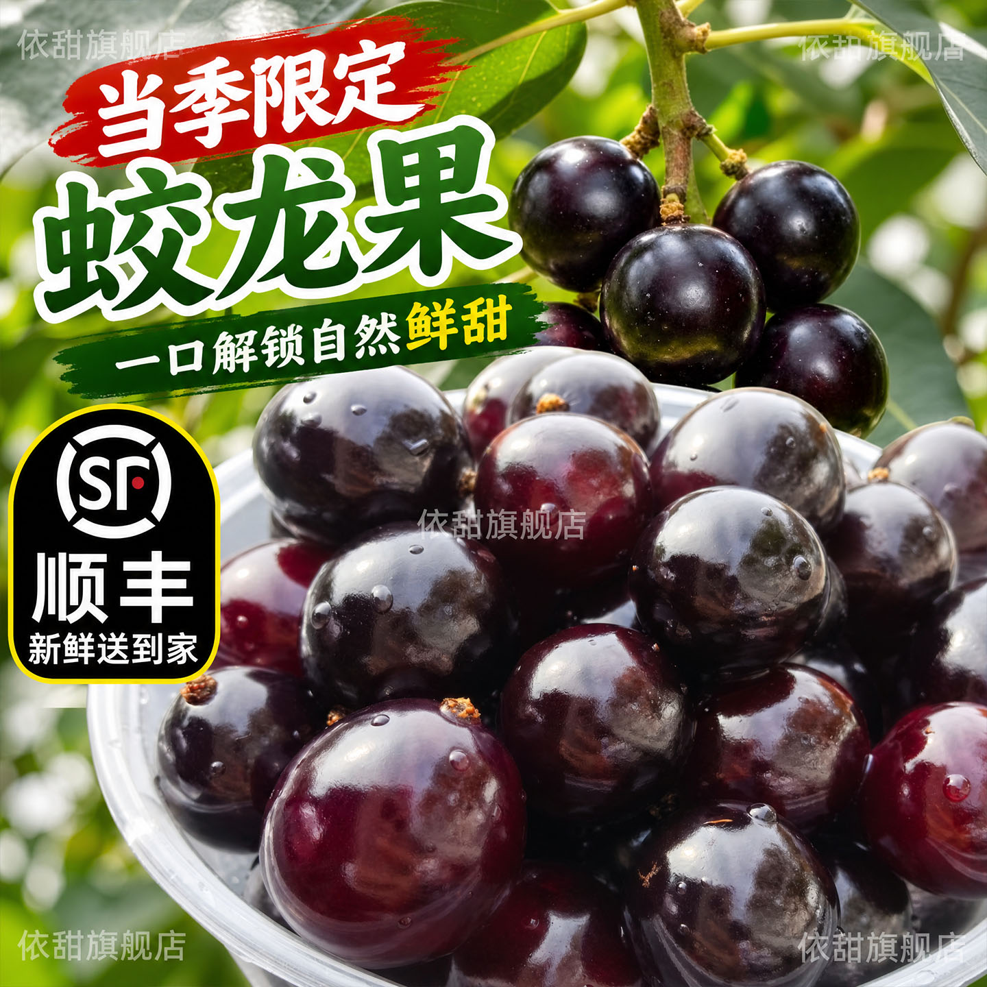 顺丰蛟龙果新鲜当季水果葡萄黑珍珠罕见稀有无籽树葡萄非嘉宝果图片