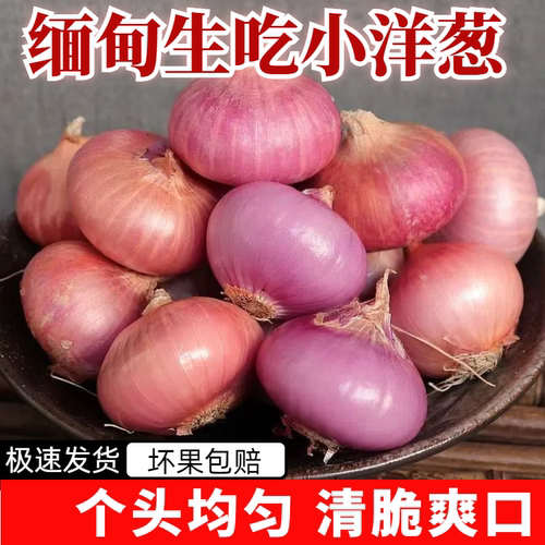 云南德宏缅甸老品种扁头沙拉小洋葱头新鲜洋葱头小个紫皮迷你红皮
