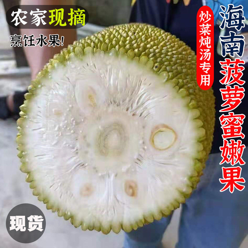 海南现摘小菠萝蜜生果嫩果新鲜炒菜煲汤沙拉白肉整个烹饪水果,水产肉类/新鲜蔬果/熟食,菠萝蜜,淘宝优惠券,粉丝福利购,淘宝优惠卷