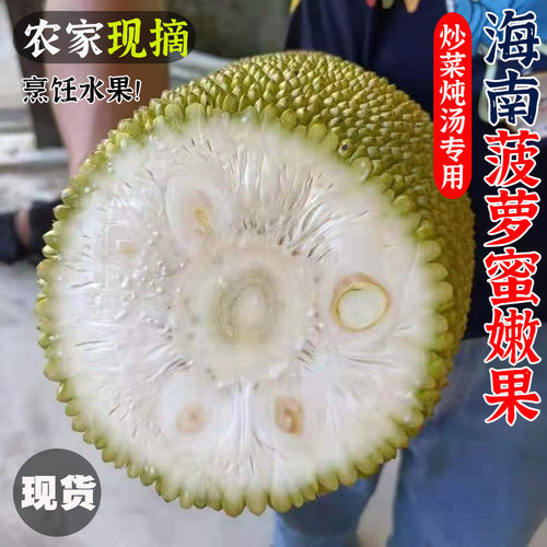 海南现摘小菠萝蜜生果嫩果新鲜炒菜煲汤沙拉白肉整个烹饪水果